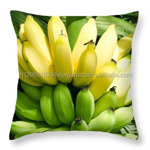 Bananas verdes frescas de la India - Product Image 1