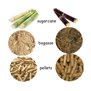 Produits frais Agriculture Déchets Inoffensif Canne à sucre Bagasse Pellet Making Pulp Produit - Product Image 5