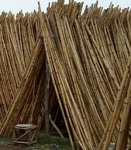 Vente flash 2024, poteau en rotin en bois poli, diamètre 10 mm-40 mm, brut, pour le traitement des meubles, emballé en rouleaux, produit agricole - Product Image 5