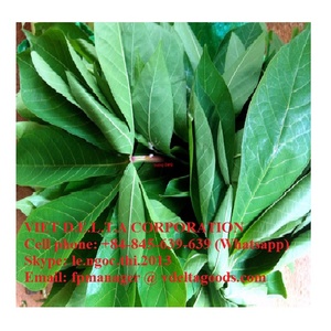 มันสำปะหลังแช่แข็ง ราคาถูกที่สุด - Product Image 5