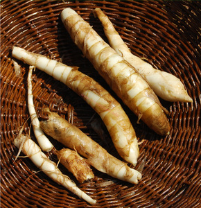 ARROWROOT FRESCO DE ALTA CALIDAD - Product Image 2