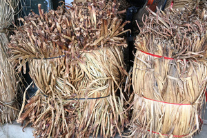 Feuilles de palmier séchées brunes de haute qualité du Vietnam et jacinthe d'eau séchée (whatsapp +84-911-585-628) - Product Image 3