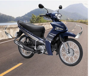 Nouveau moteur modèle fabriqué au Vietnam (Noir/Bleu) - Product Image 5