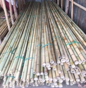 POLOS DE BAMBÚ DE BUENA CALIDAD/CAÑAS DE BAMBÚ DE VIET NAM - Product Image 1