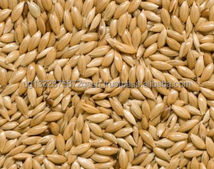 Graines de canari pour pigeons, aliments pour animaux - Product Image 3