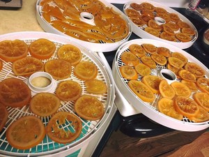 Tranches d'orange séchées de haute qualité provenant du Vietnam Emballage sous vide au processus de séchage à l'air au goût sucré - Product Image 6