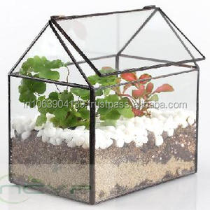 TERRARIUM en verre, forme de maison, plante - Product Image 1