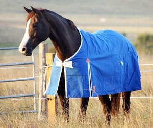 Couverture d'hiver pour cheval 600D Ripstop imperméable, col standard, rembourrage en coton 300gsm, couverture isolante avec doublure en nylon - Product Image 3