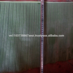 Plátano verde fresco, precio competitivo, oferta, vacaciones, 100%, entrega rápida - Product Image 4