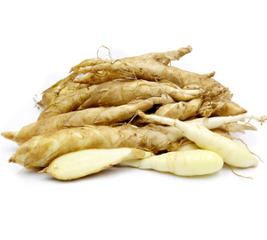 Arrowroot a la venta arrurwroot de alta calidad mejor precio y alta calidad 2024 - Product Image 1