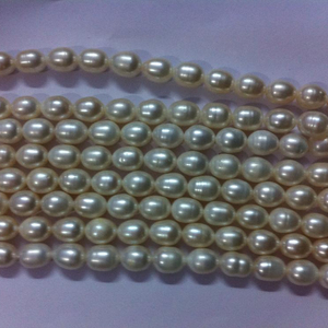 Cuentas de perlas de agua dulce - Product Image 1