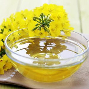High Quality Grade a Refined Rapeseed Oil Bulk Cooked for Adults & Children at Best Price - Product Image 1