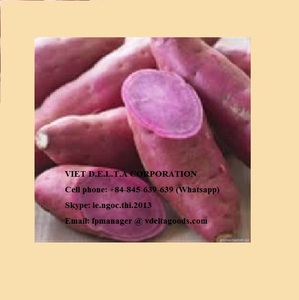 Batata púrpura orgánica de alta calidad cultivada en Vietnam - Product Image 4