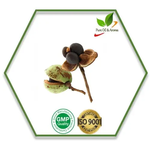 Best Verkopend! 00% Natuurlijke En 100% Zuivere Camellia Carrier Olie Met Iso WHO-GMP Certificeringen