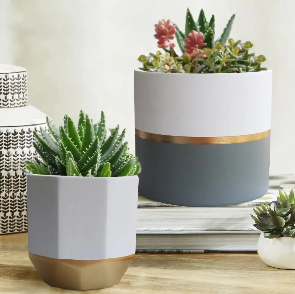 White Cement Flower Pot Garden Planters 6.5 Pack 2 Indoor, Plant Containers with Gold and Grey Detailing