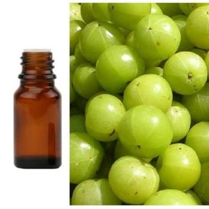 Cantidad a granel 100% Pure Natural Amla Carrier Oil para aromaterapia y mezclas de masaje - Product Image 3