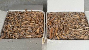 Cigares d'occasion, cassé/fente, haute qualité, à bas prix importé - Product Image 5
