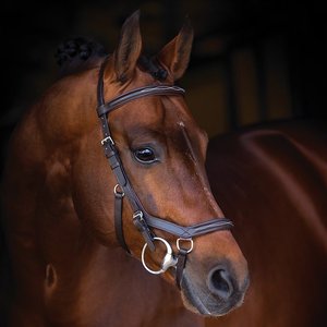 Multifuncional Fancy Micklem Brida Caballo Cuero para Equitación - Product Image 2