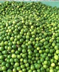 Fruta de Lima sin semillas para restaurante, con aroma y alta calidad - Product Image 6