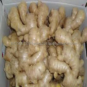 Non lavées Fraîches D'éléphants Gingembre - Product Image 1