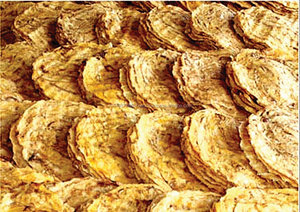 GRANDE PIÈCE DE BANANE PRESSÉE-Collations spéciales aux fruits vietnamiens à base de banane - Product Image 2