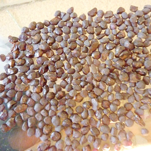 
 
 
 ลูกปัดโกเมนแอฟริกันธรรมชาติ Coszcatl ขนาด 4-8+ มม. - สีม่วง ชมพู แดง หินดิบสำหรับทำเครื่องประดับ ปรับแต่งได้ - Product Image 2