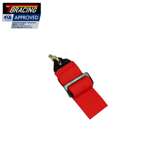 Fia Racing Harnais - Product Image 6