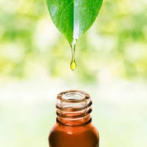 AARNAV GLOBAL EXPORTS Aceite Esencial 100% Puro de Árbol de Té y Lavanda, Revitalizador de Piel Australiano, Proveedor a Precios de Mayoreo - Product Image 4