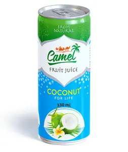 Fabrika OEM markaları meyve içecek doğal hindistan cevizi suyu içecek doğal