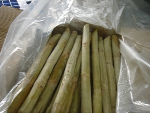 TOP'S-caña de azúcar fresca de Vietnam - Product Image 4