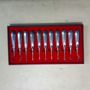 Pin Tech Instruments <b>Dental</b> Root Elevators Set 11 Manual Stainless Steel Surgical Extraction Tooth Luxating Instrument CE - Product Image 1