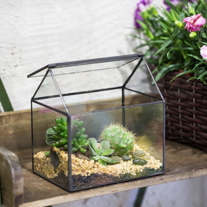 Elegant geometric glass terrarium with metal <b>stand</b> display plant container - Product Image 1