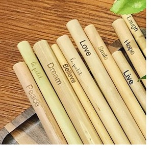 Pajitas de bambú natural Alternativa a las pajitas de plástico para niños - Product Image 2