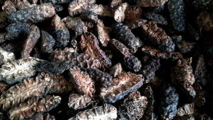Quả Nhàu Khô Nửa Trái từ Sản Phẩm Nông Nghiệp Việt Nam