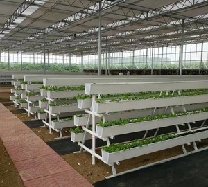 Plateau de culture pour fraises, plantes naturelles - Product Image 3