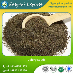 Hạt Giống Cần Tây Ấn Độ/Hạt Giống Cần Tây Nhà Cung Cấp/Dầu Hạt Giống Cần Tây Hữu Cơ Chất Lượng Tốt Nhất - Product Image 5