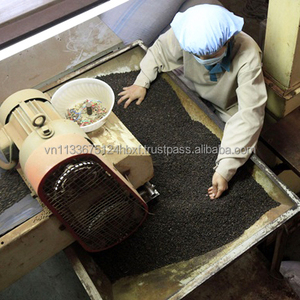 Pimienta Negra de Vietnam 570 GL, la Más Vendida, Calidad Premium, Gran Densidad, para Procesamiento de Alimentos y Suministro Global - Product Image 2