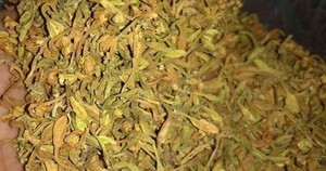 Meilleure fleur de papaye fraîche de haute qualité/fleur de papaye séchée produit agricole - Product Image 3