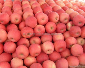 Manzanas Rojas Fuji Frescas 2021, Grado AA, Tamaño 100cm, 10kg, Sudáfrica - Product Image 4