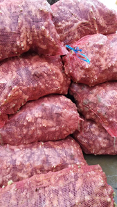 MEJOR VENTA DE JENGIBRE FRESCO DE VIETNAM - Product Image 2