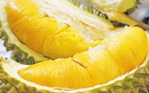 Durian de Vietnam de la mejor calidad y precio - Product Image 2