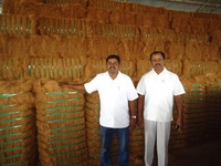 Fibres de coco séchées écologiques naturelles pour la plantation, longueur 15-20 cm, faible teneur en poussière et impuretés