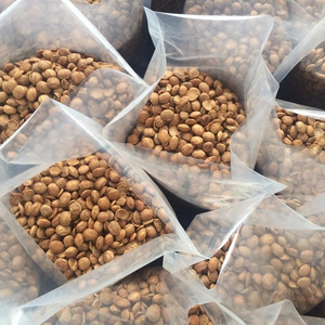 Sacha Inchi Seco de Vietnam, Tostado, Alta Calidad, Precio Económico +84765149122 - Product Image 1