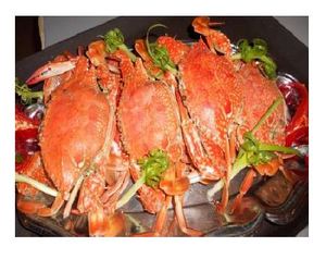 Coquilles de crabe séchées du Vietnam à prix avantageux - Product Image 2