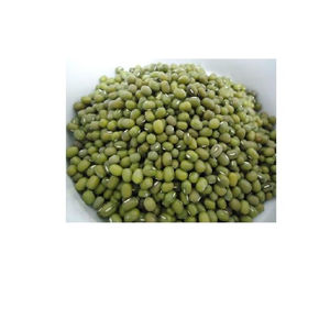 BEANS MUNG VERDE DE ALTA CALIDAD EN VENTA ENTERA/Frijoles Mung de alta proteína Frescos y naturales - Product Image 4
