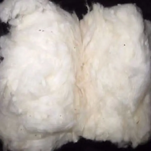 Cotton Thô Số Lượng Lớn Chất Lượng Cao