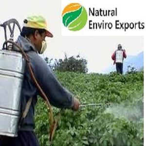 Aceite de Semilla de Neem al por Mayor en Cantidad a Granel, envasado en IBC de 1000L, Aceite de Semilla de Neem Puro Disponible con Certificaciones Orgánicas - Product Image 4