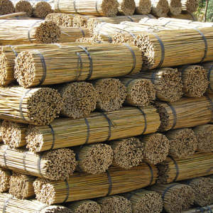 CHEAP PRICE - STRAIGHT, DRY, POLISHED, RAW BAMBOO <b>POLES</b> FROM VIETNAM - Product Image 4