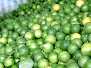 100% มะนาวสดธรรมชาติพร้อมราคาฟาร์ม - Product Image 3