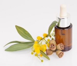 Proveedor a granel de aceite de perfume de eucalipto de La India - Product Image 2